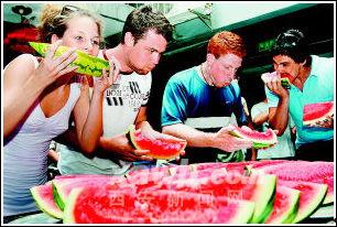 老外吃瓜现场,揭秘中外文化差异趣味瞬间