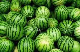 745015吃瓜群,一场网络热议背后的真相