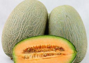 产地吃哈密瓜怎么吃的,产地直供，解锁哈密瓜最佳食用方法