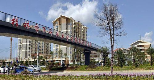 桂电北海校区吃瓜,校园“吃瓜”盛况，揭秘校园生活趣味瞬间