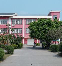 桂电北海校区吃瓜,校园“吃瓜”盛况，揭秘校园生活趣味瞬间