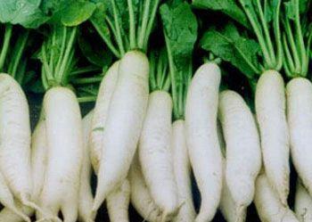 哮喘吃角瓜,角瓜食疗助缓解症状