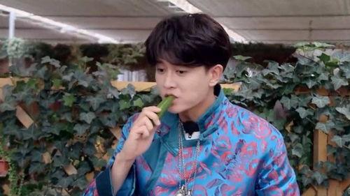 任嘉伦天天吃瓜