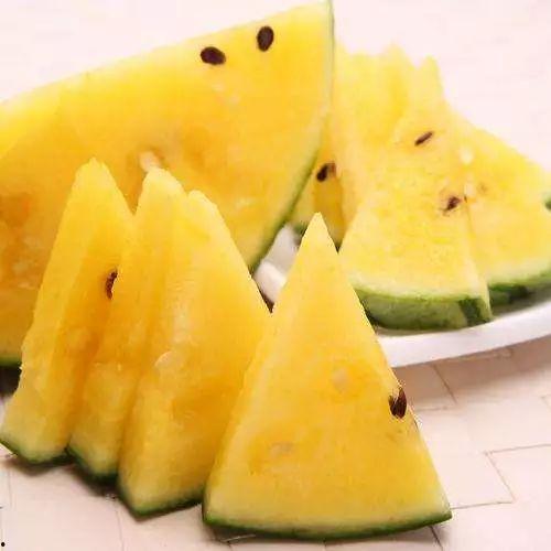 波吉吃瓜图,趣味横生的夏日时光