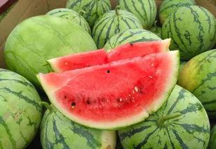 波吉吃瓜图,趣味横生的夏日时光