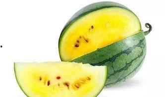 波吉吃瓜图,趣味横生的夏日时光