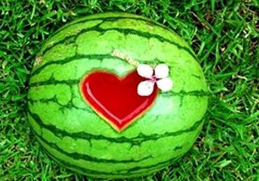 梦见洗瓜吃,洗瓜吃瓜，揭秘潜意识中的生活寓言