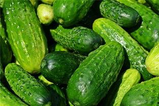 梦见洗瓜吃,洗瓜吃瓜，揭秘潜意识中的生活寓言