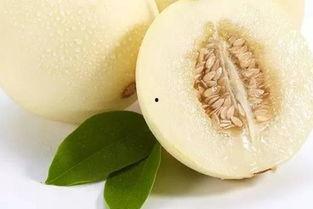 鸡蛋瓜甜瓜怎么吃,鸡蛋瓜甜瓜的多样美味食用指南