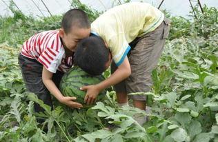 新沂吃瓜事件小三,小三的逆袭与反转