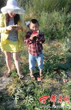 老婆孩子吃瓜,共享家庭温馨时光