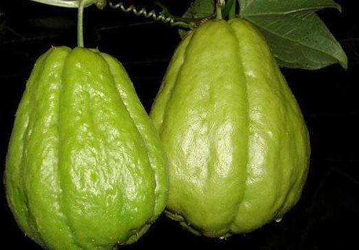 吃佛手瓜可以长寿吗,长寿之果的神奇功效揭秘