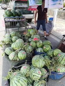 餐厅吃瓜事件化工,揭秘化工污染背后的食品安全危机