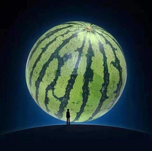 来张嘴吃瓜,揭秘娱乐圈那些不为人知的秘密