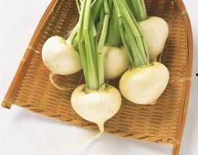 白皮角瓜怎么吃,解锁美味新体验