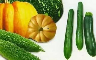 夏天都是怎么吃瓜,解锁夏日吃瓜新时尚