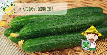 夏天都是怎么吃瓜,解锁夏日吃瓜新时尚