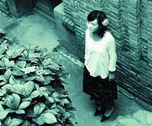 安妮宝贝吃瓜,揭秘娱乐圈的“吃瓜”风云