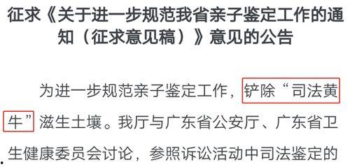 亲子鉴定吃大瓜,揭秘娱乐圈大瓜背后的真相