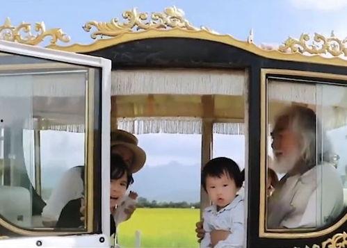 亲子鉴定吃大瓜,揭秘娱乐圈大瓜背后的真相