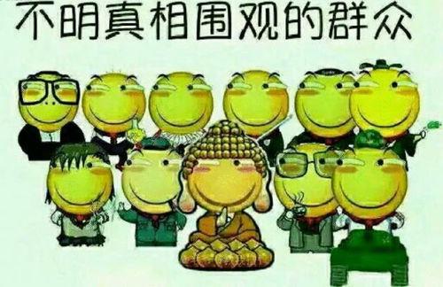 吃瓜困境怎么处理,智慧应对网络舆论的指南