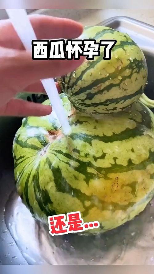 吃瓜得瓜搞笑视频