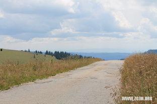 梦到自己摘瓜吃